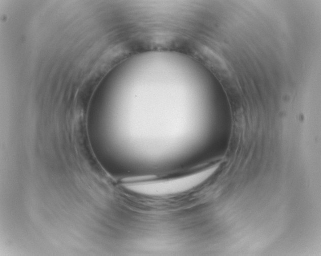 X0000088630225200706151925