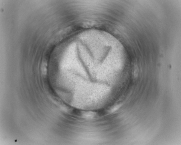 X0000088630226200706151925