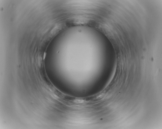 X0000088630227200706151925