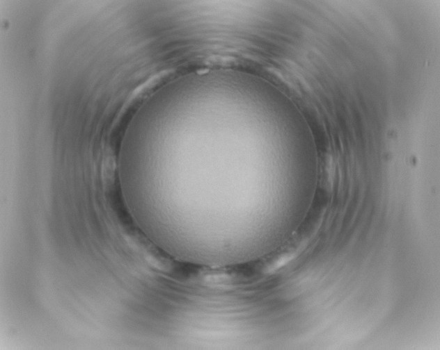 X0000088630228200706151925