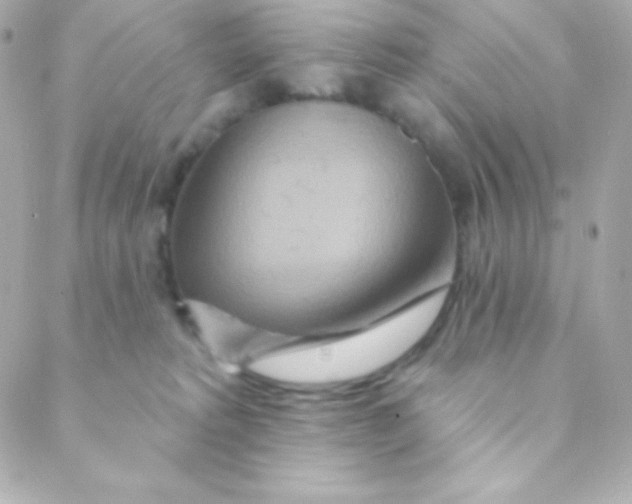 X0000088630229200706151925