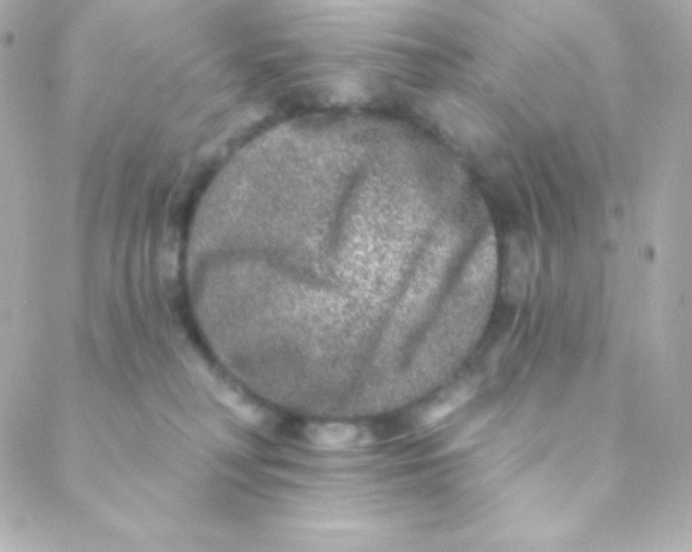 X0000088630230200706151925