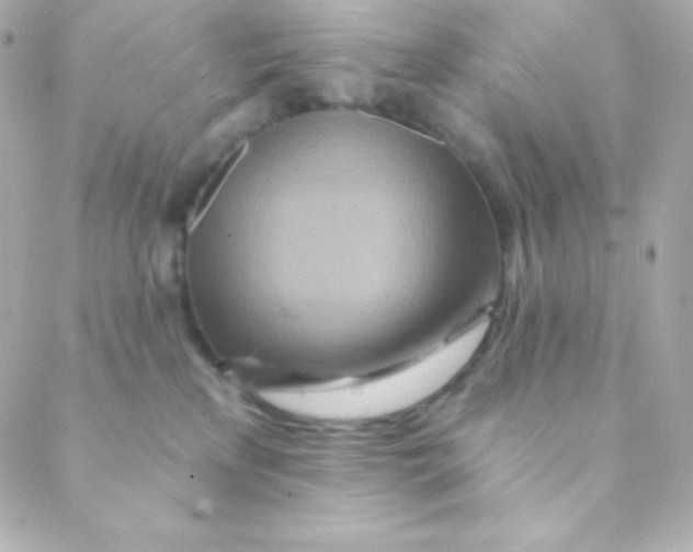 X0000088630233200706151925