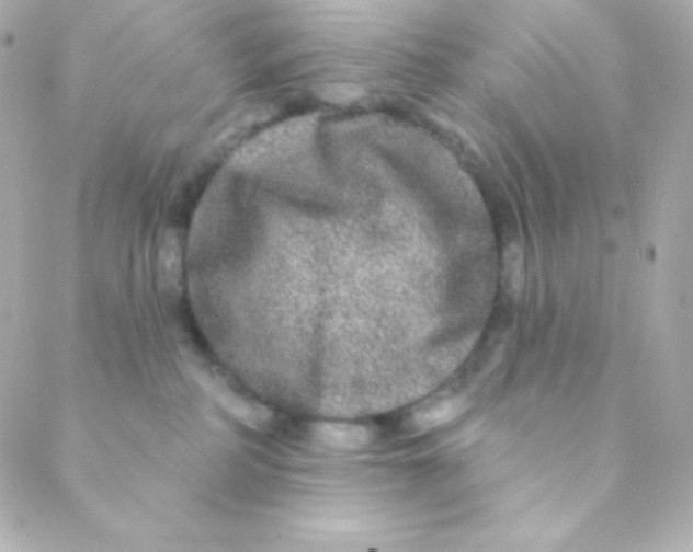 X0000088630234200706151925