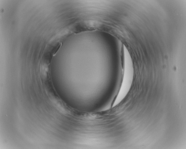 X0000088630235200706151925