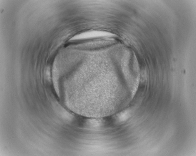 X0000088630238200706151925