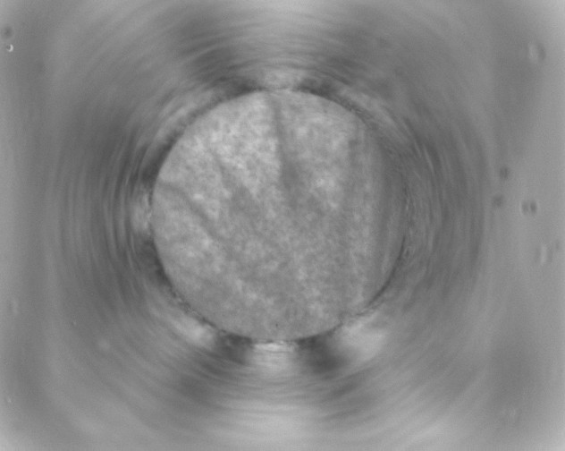 X0000088630240200706151925