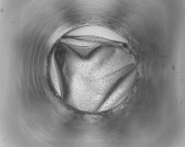 X0000088630242200706151924