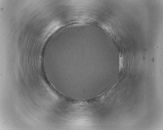 X0000088630243200706151924