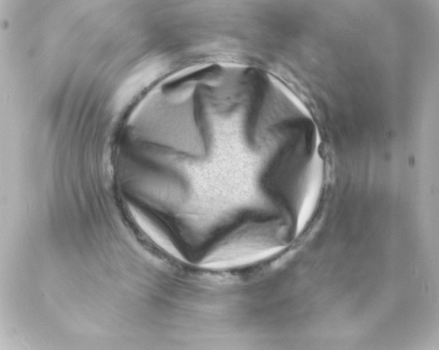 X0000088630245200706151924