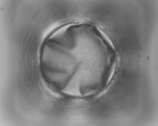X0000088630246200706151924
