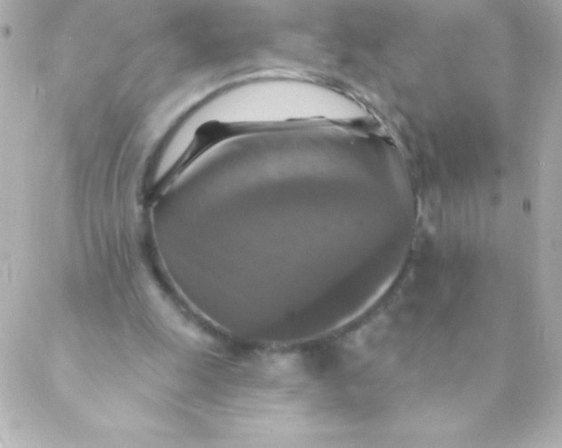 X0000088630247200706151924