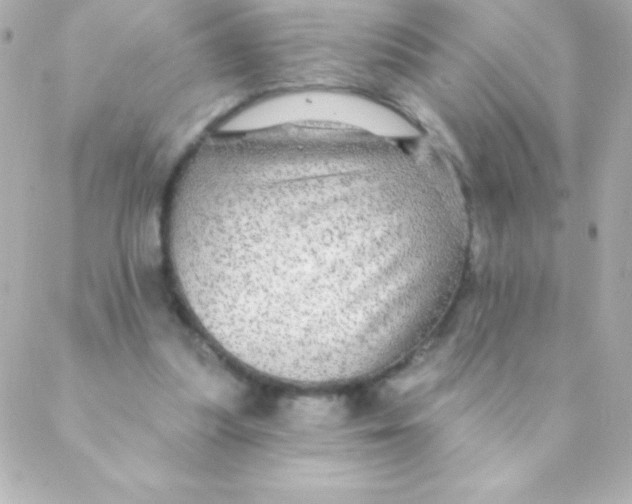 X0000088630251200706151924
