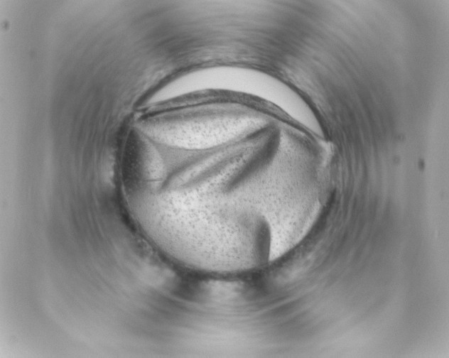 X0000088630255200706151924