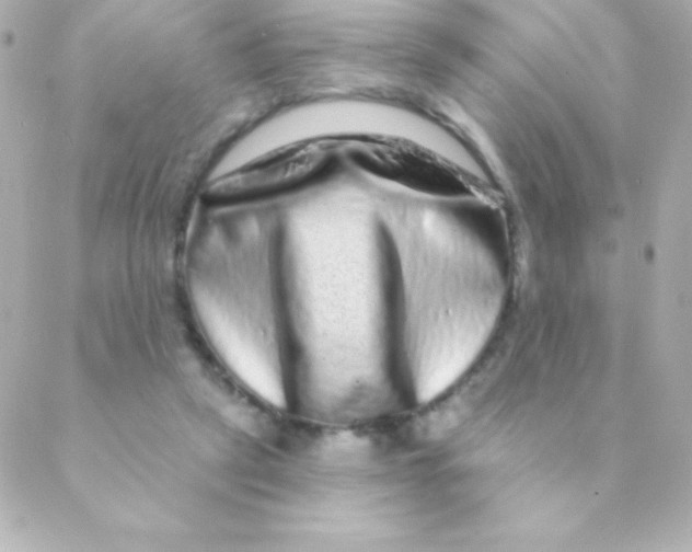 X0000088630257200706151924