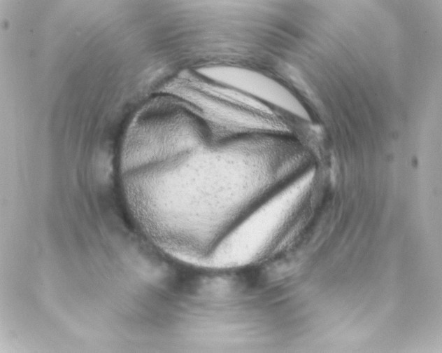 X0000088630259200706151924