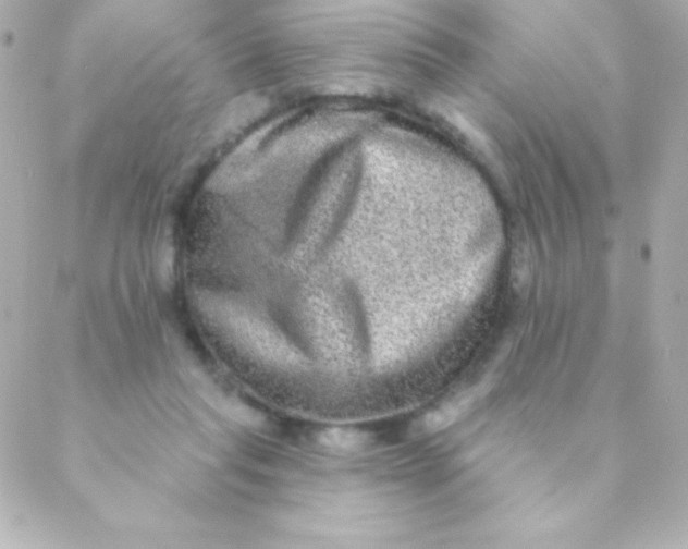 X0000088630261200706151924