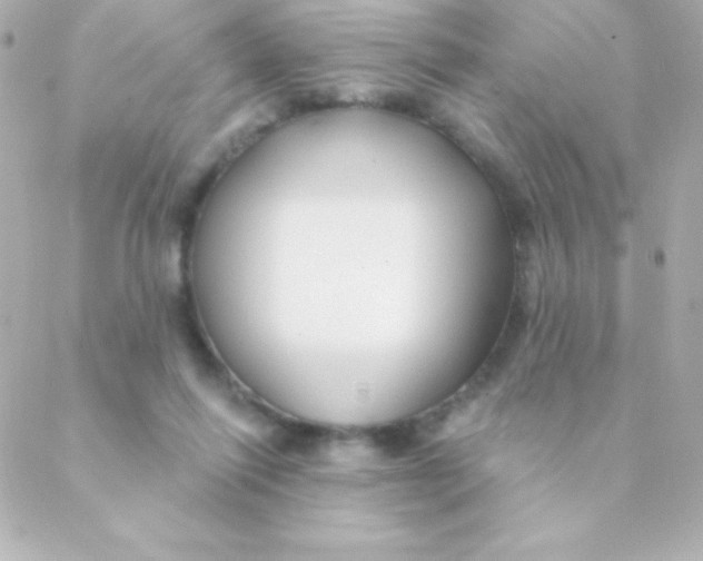 X0000088630262200706151924