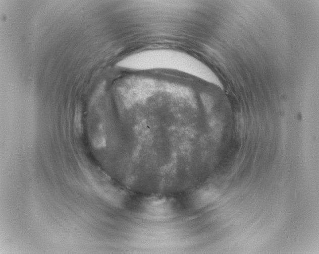 X0000088630267200706151925