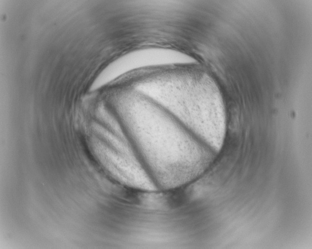 X0000088630273200706151925