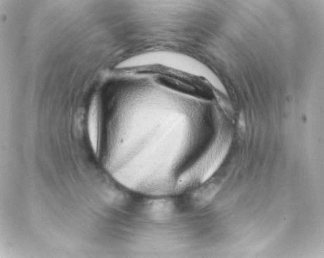 X0000088630275200706151925