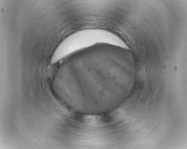 X0000088630277200706151925