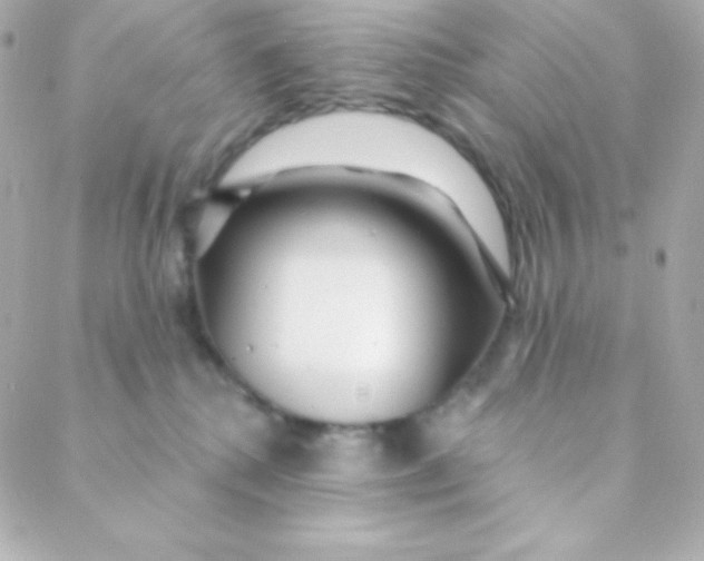 X0000088630280200706151925