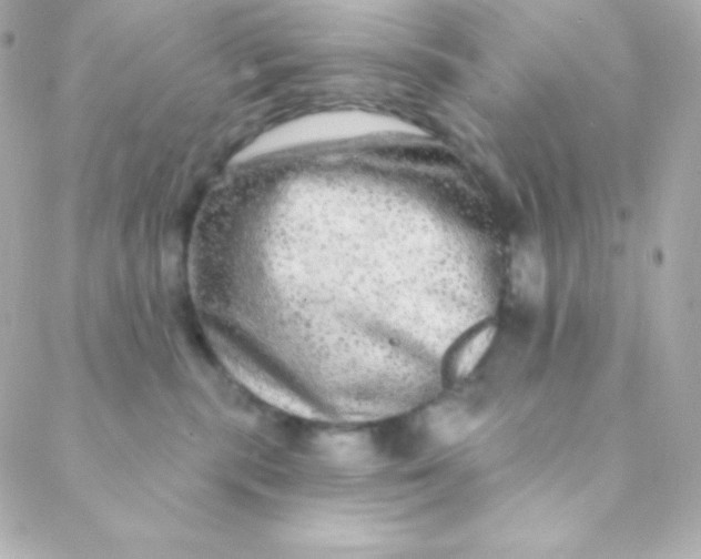 X0000088630283200706151925