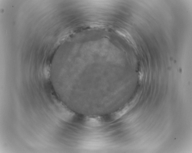 X0000088630285200706151925
