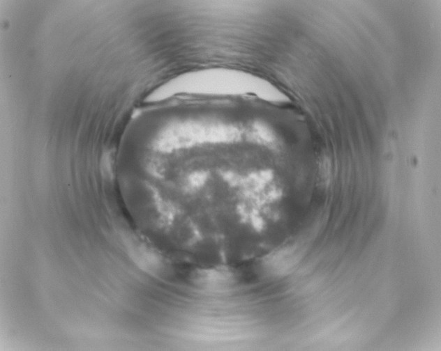 X0000088630286200706151925