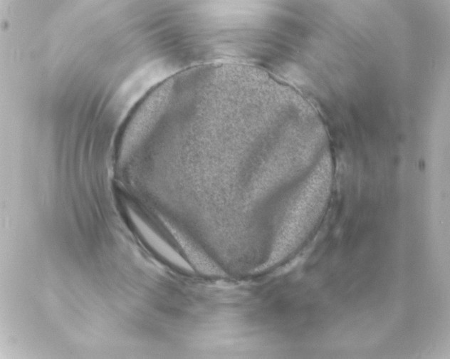 X0000088630290200706151924