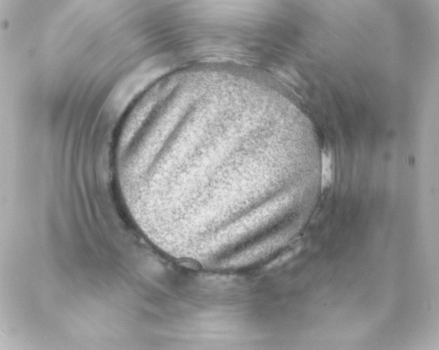 X0000088630291200706151924