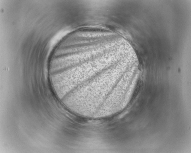 X0000088630294200706151924