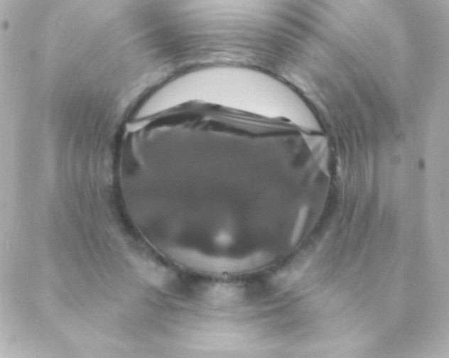 X0000088630303200706151924