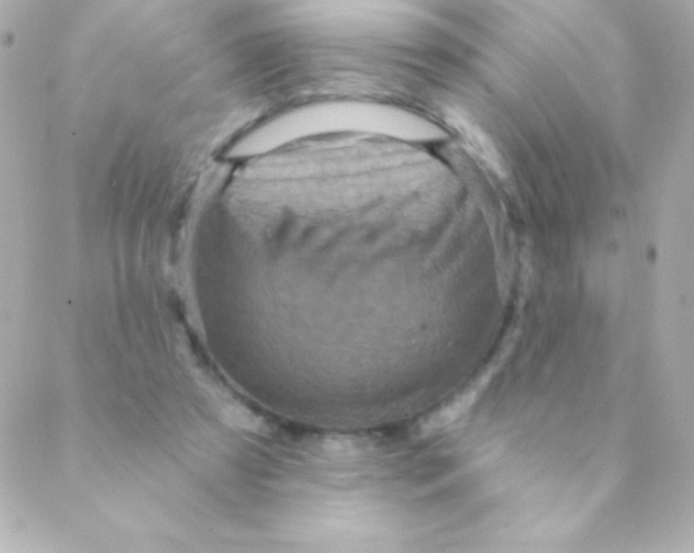 X0000088630305200706151924