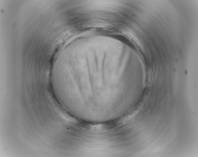 X0000088630309200706151924