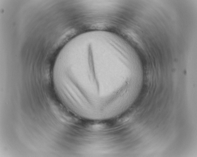 X0000088630312200706151924