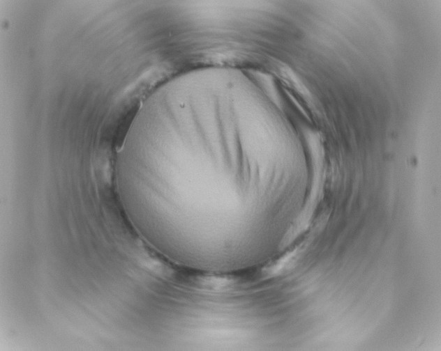 X0000088630313200706151924