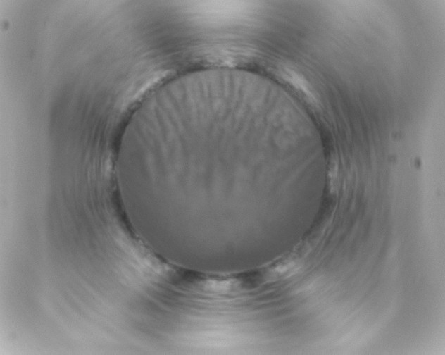 X0000088630314200706151924