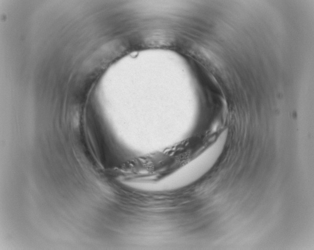 X0000088630315200706151924
