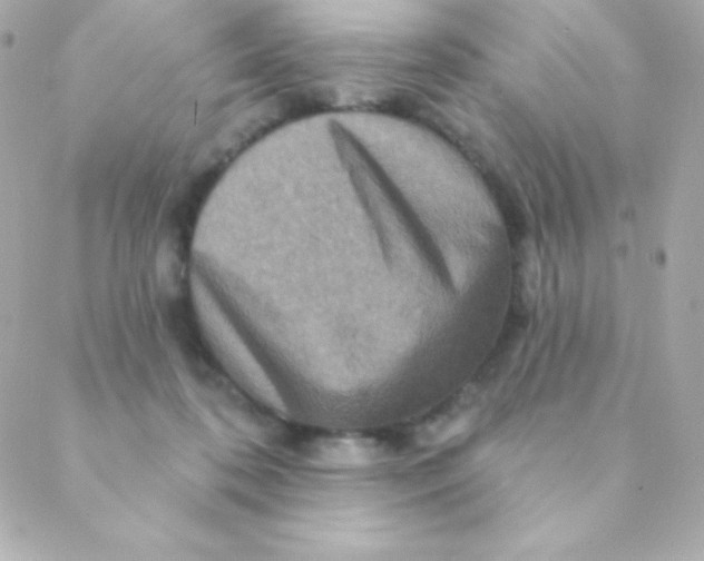 X0000088630316200706151924