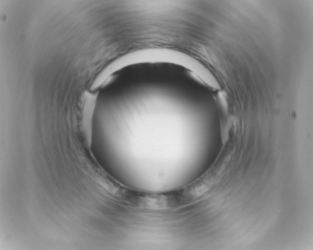 X0000088630317200706151924