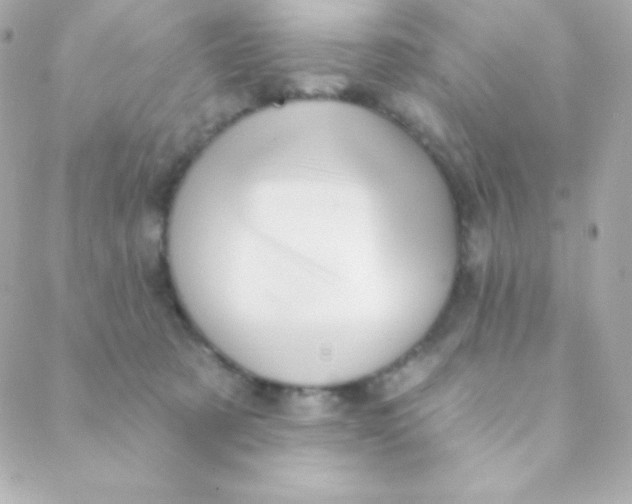 X0000088630321200706151924