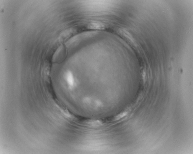 X0000088630322200706151924