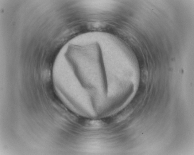 X0000088630324200706151923