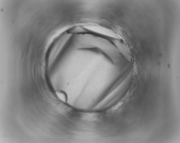 X0000088630342200706151923