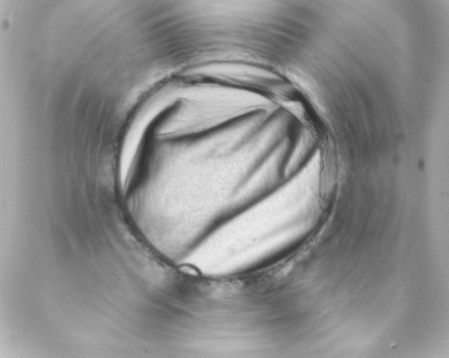 X0000088630345200706151923