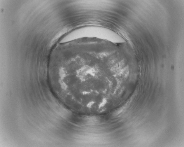 X0000088630349200706151923