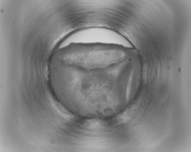 X0000088630351200706151923