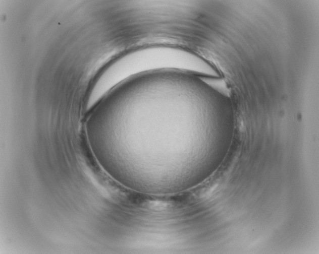 X0000088630352200706151923
